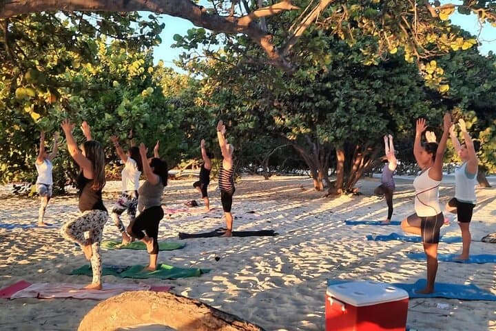 Yoga Class and Wine in Eagle Beach photo highlight 4
