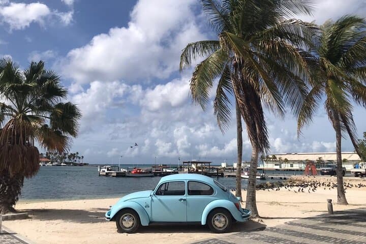 Privata veteranbilsuthyrningar i Aruba photo highlight 7