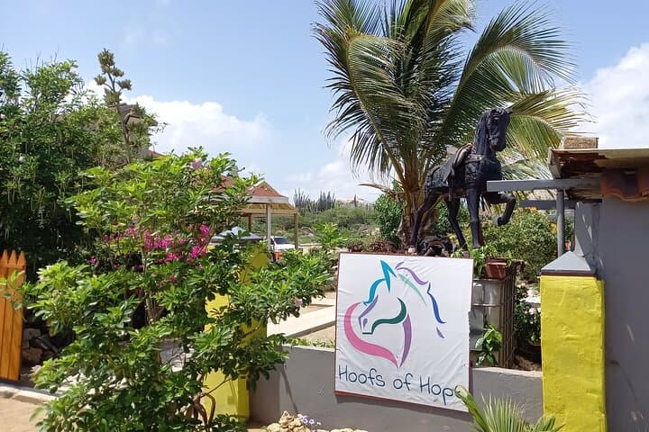 North Countryside National Park & Beach Horseback Ride in Aruba