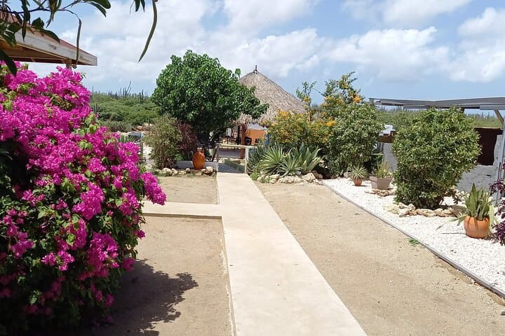 North Countryside National Park & Beach Horseback Ride in Aruba