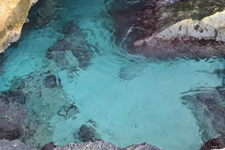 Aruba UTV Tours - New Natural Cave Pool with Cliff Jumping photo highlight 10