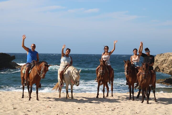 Cool Paradise Afternoon Tour in Aruba