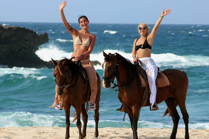 Cool Paradise Afternoon Tour in Aruba