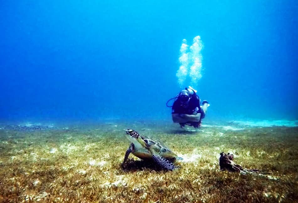23 Ft Center Console (Snorkeling, Diving & More...) photo highlight 5