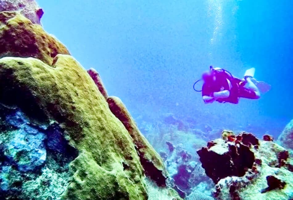 23 Ft Center Console (Snorkeling, Diving & More...) photo highlight 8