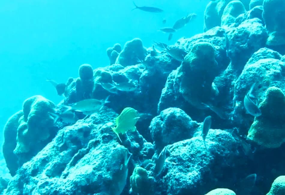23 Ft Center Console (Snorkeling, Diving & More...) photo highlight 11