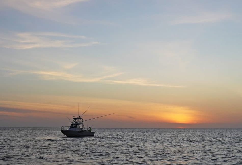27FT BOSTON WHALER Scuba Diving/ Sport Fishing photo highlight 9