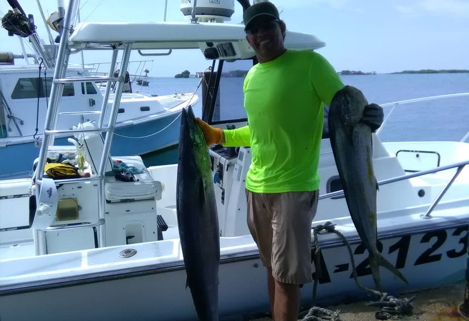 27FT BOSTON WHALER Scuba Diving/ Sport Fishing photo highlight 10