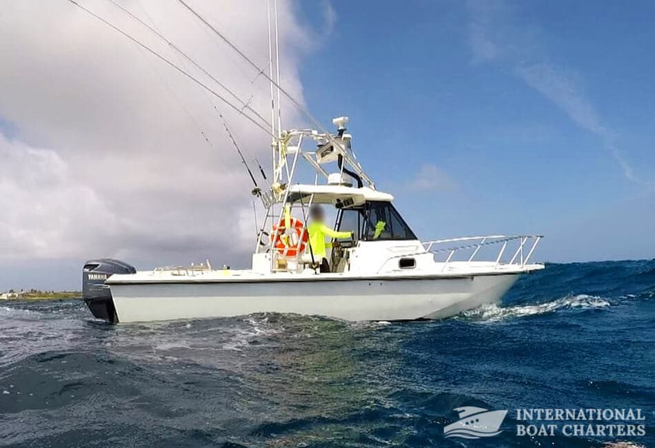 27ft Boston Whaler Scuba Diving/ Sport Fishing available for charter