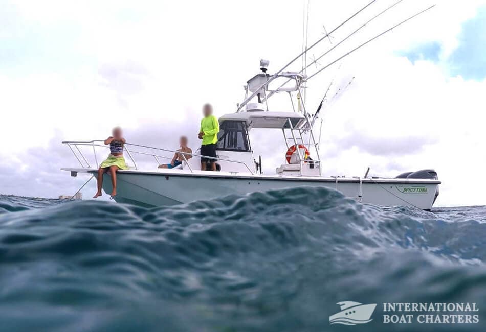 27FT BOSTON WHALER Scuba Diving/ Sport Fishing photo highlight 2