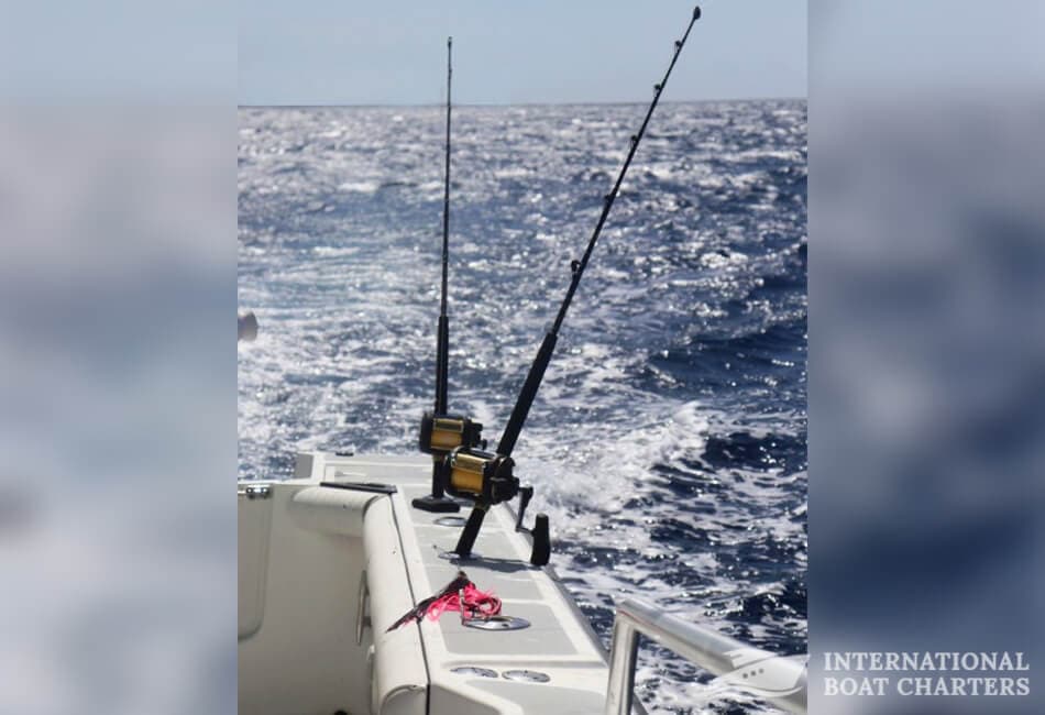 27FT BOSTON WHALER Scuba Diving/ Sport Fishing photo highlight 4