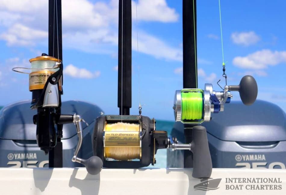 27FT BOSTON WHALER Scuba Diving/ Sport Fishing photo highlight 3