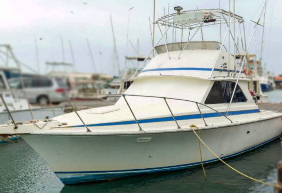 36 Ft Flybridge Elgin Yacht photo highlight 2