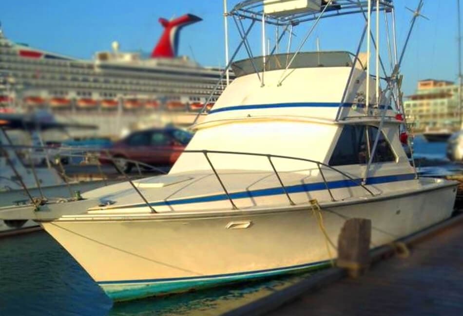 36 Ft Flybridge Elgin Yacht photo highlight 1