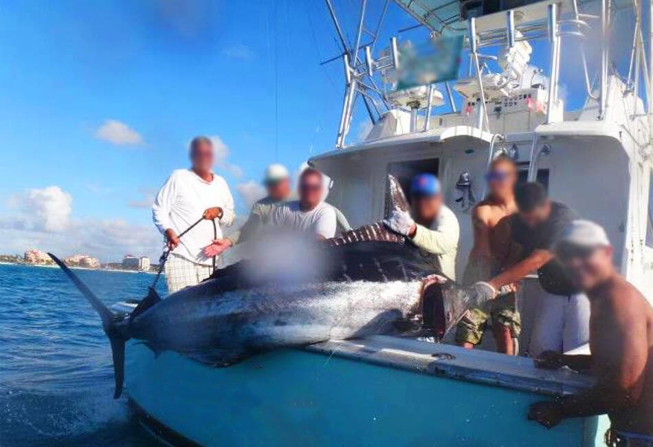 40 FT HATTERAS Sportfishing Dual Cabin Motor Yacht photo highlight 15
