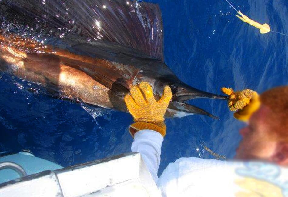 40 FT HATTERAS Sportfishing Dual Cabin Motor Yacht photo highlight 9