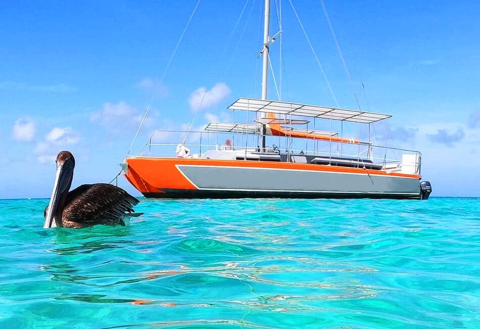 41 Ft Sailing Catamaran photo highlight 58