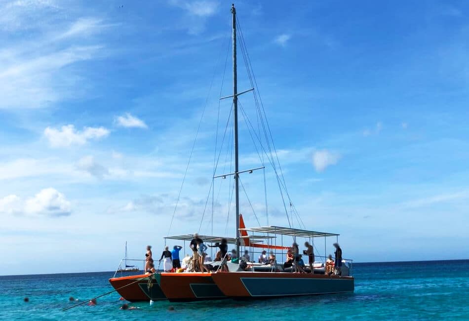 41 Ft Sailing Catamaran photo highlight 61