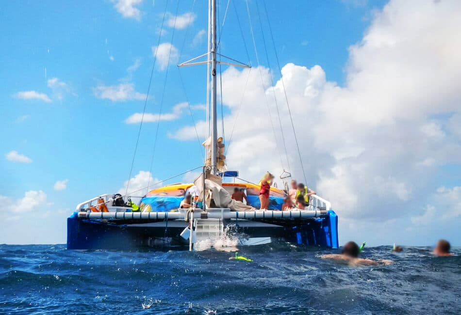 45 Ft SAILING CATAMARAN photo highlight 59