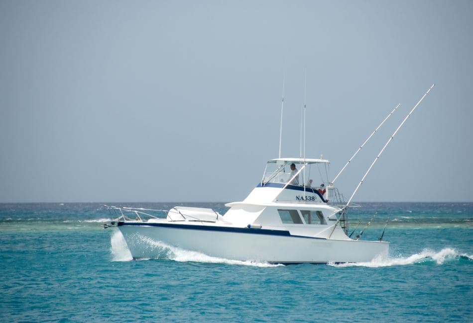 42FT HATTERAS MAHI MAHI photo highlight 2