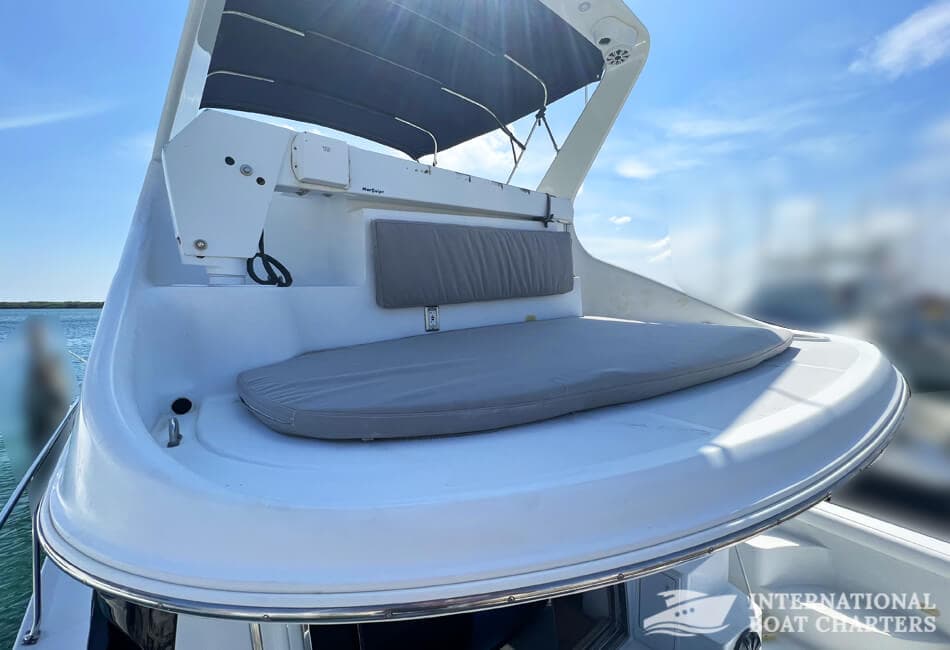 45 Ft Carver 450 Voyager Pilothouse Motor Yacht photo highlight 10