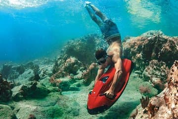 North Coast Seabob Reef Tour in destination