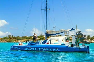 Catamaran Dolphin Snorkeling Cruise: Open bar, Light Lunch & I Love Aruba Shirt in destination