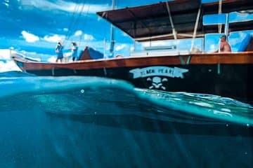 Aruba VIP Morning Delight Champagne Sailing and Snorkeling Cruise with Lunch in destination