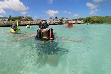 Discover Snorkeling Mangel Halto Aruba in destination