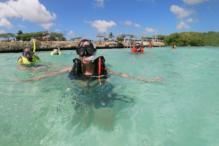 Découvrez la plongée libre Mangel Halto Aruba in Aruba